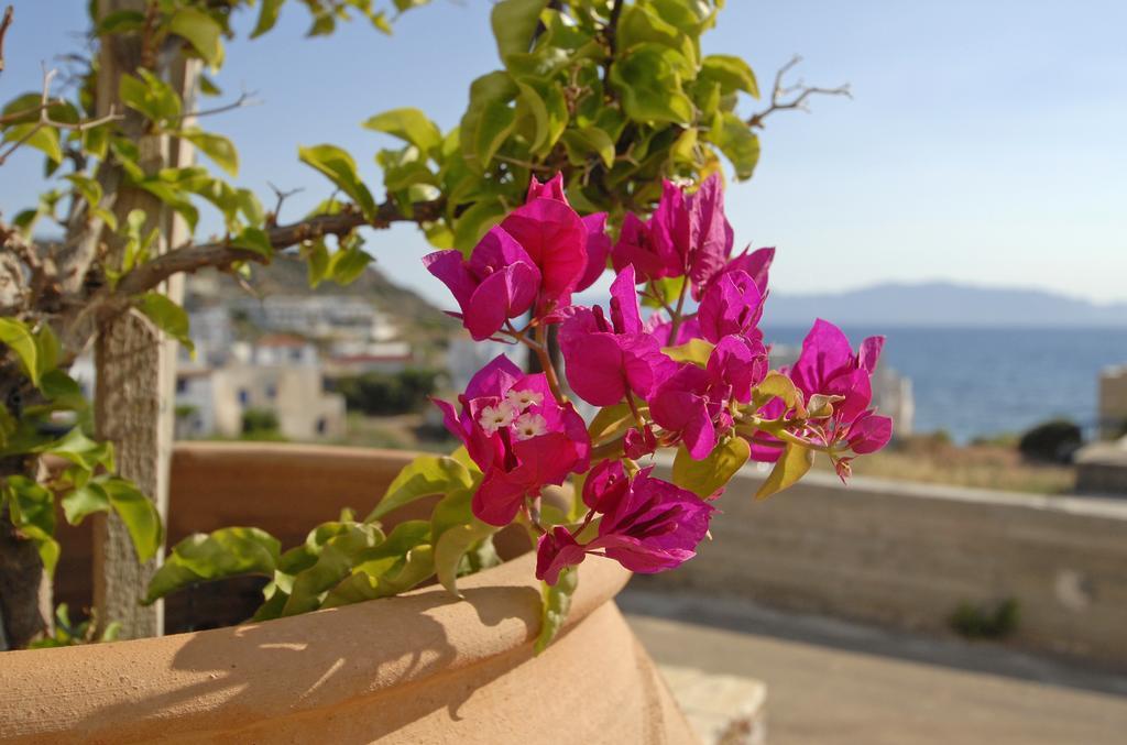 Pantonia Apartments Agia Pelagia  Phòng bức ảnh